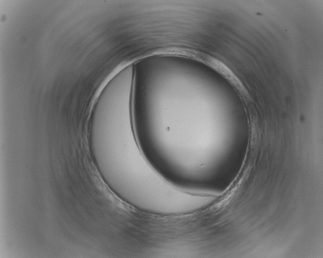 X0000076400908200610202127