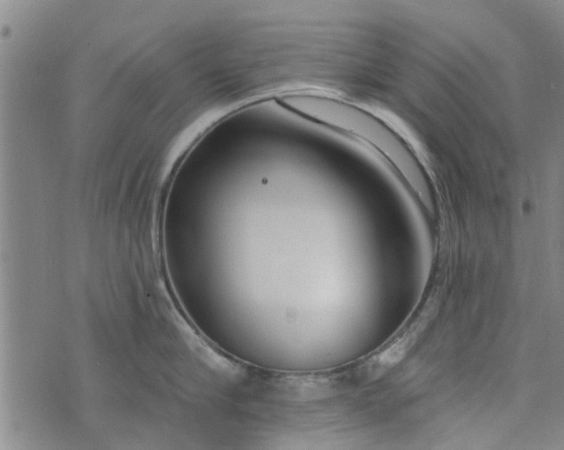 X0000076400910200610202127