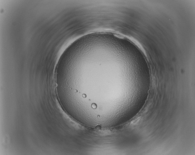 X0000076400911200610202127