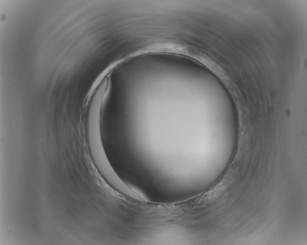 X0000076400912200610202127