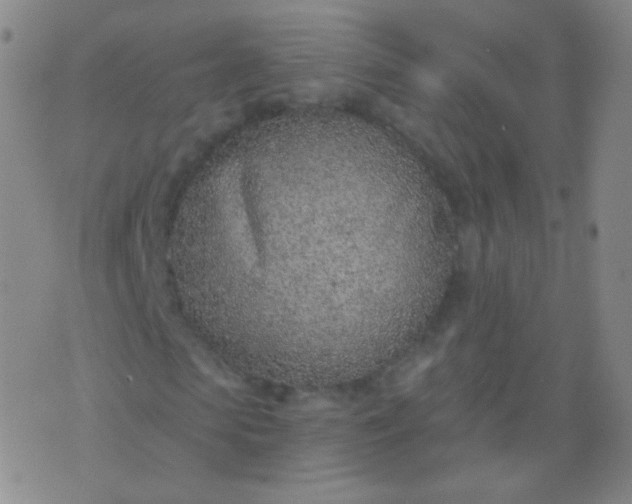 X0000076400913200610202126