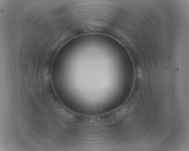 X0000076400915200610202126