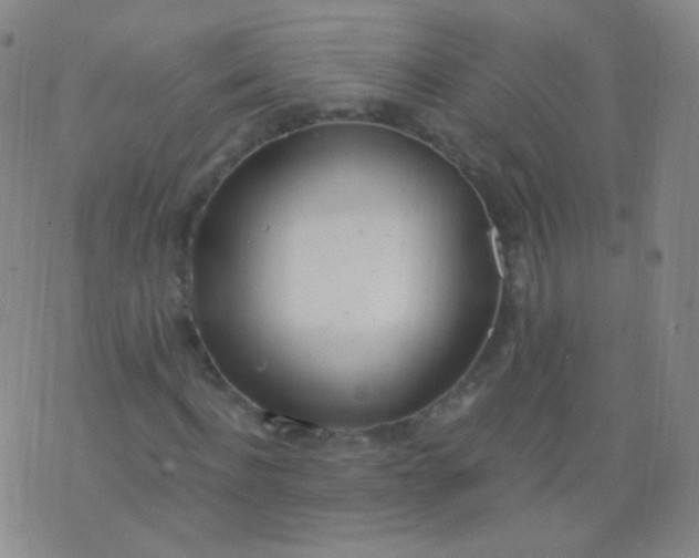 X0000076400916200610202126