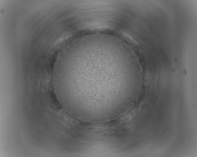 X0000076400917200610202126