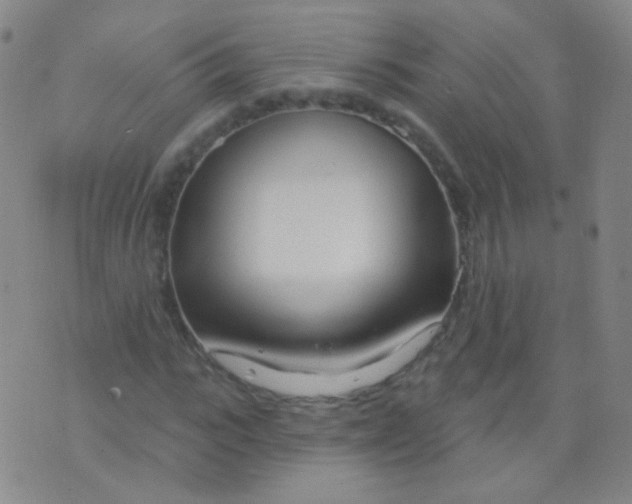 X0000076400919200610202126