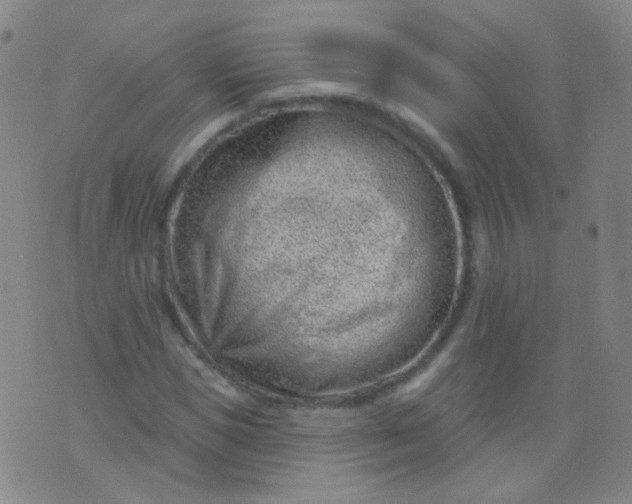 X0000076400921200610202126