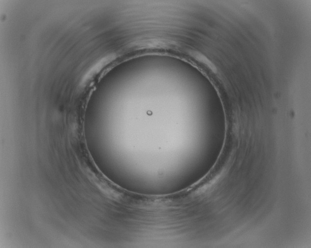 X0000076400922200610202126