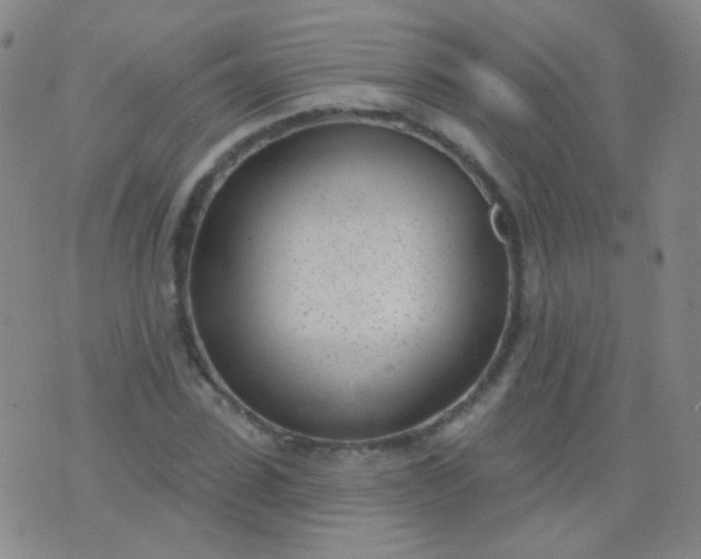 X0000076400923200610202126