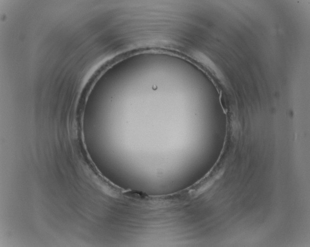 X0000076400924200610202126