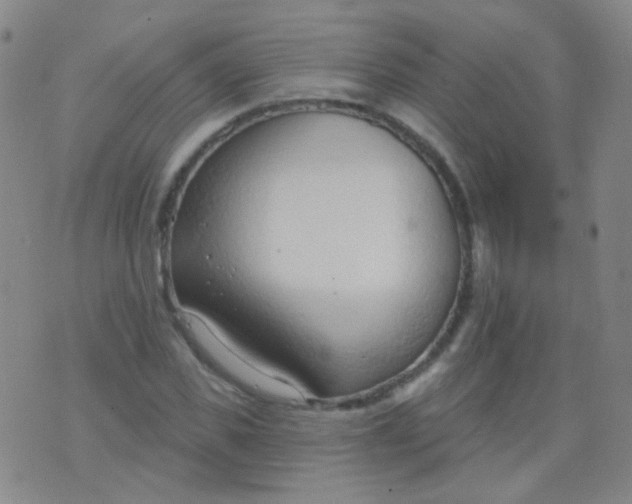 X0000076400925200610202126