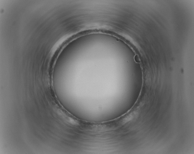 X0000076400927200610202126