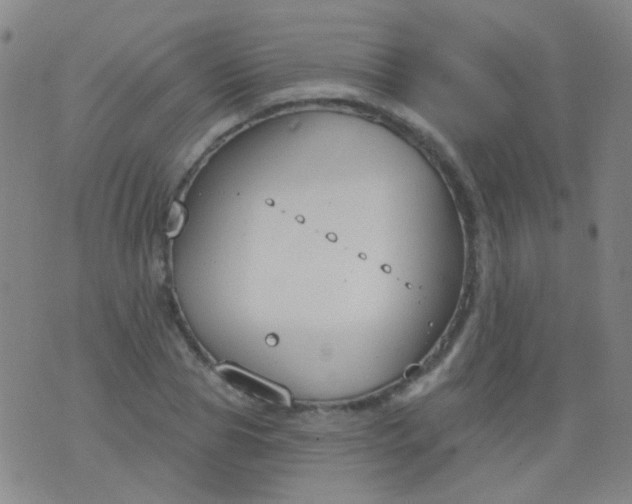 X0000076400929200610202126