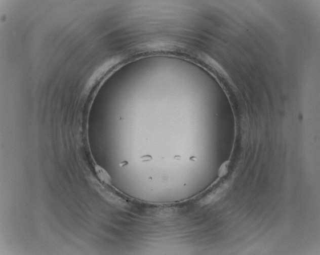 X0000076400930200610202126