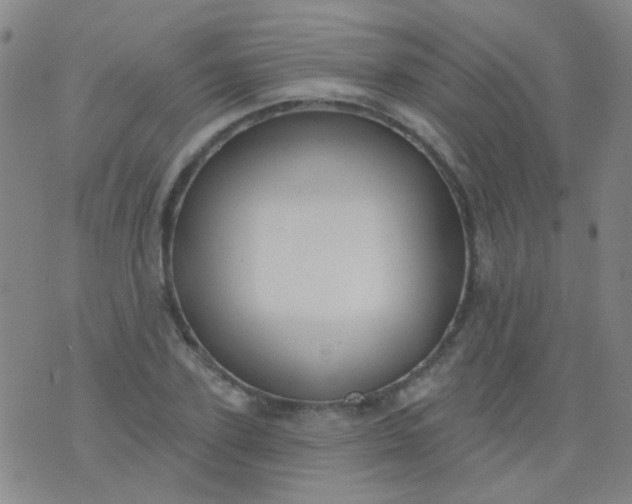 X0000076400931200610202126