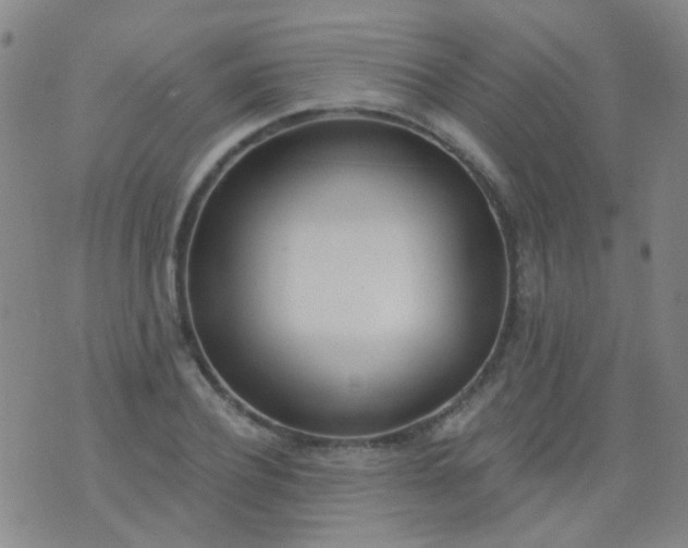 X0000076400932200610202126