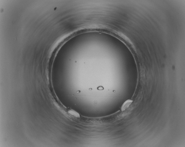 X0000076400935200610202126