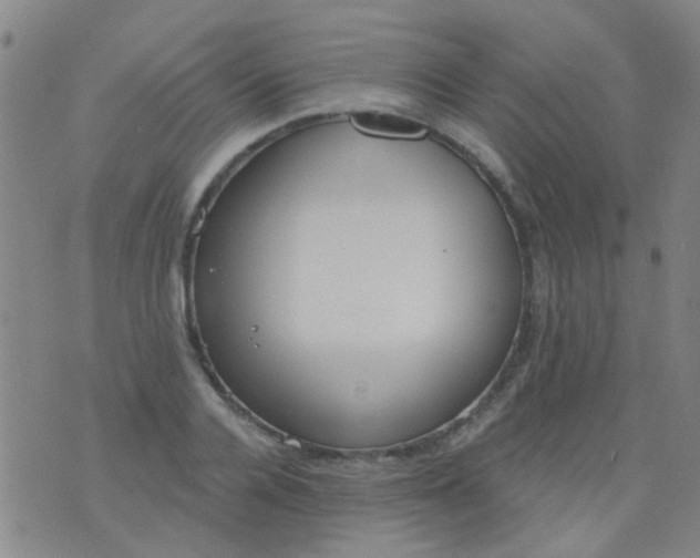 X0000076400936200610202126