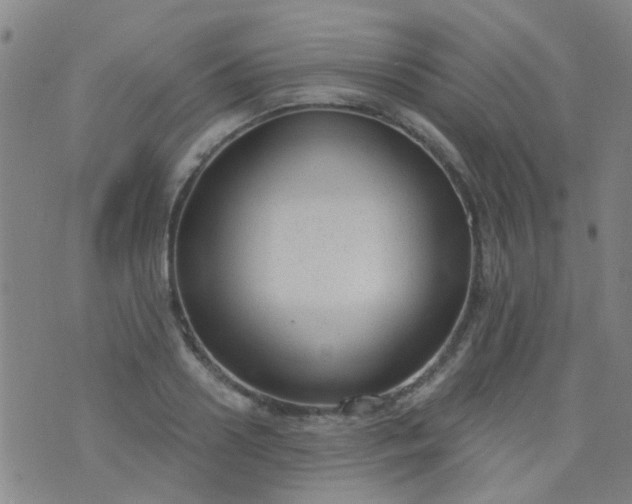 X0000076400938200610202126