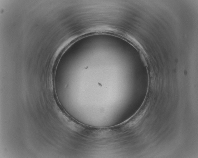 X0000076400939200610202126