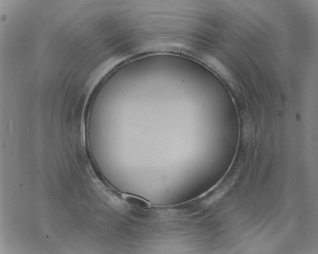 X0000076400940200610202126