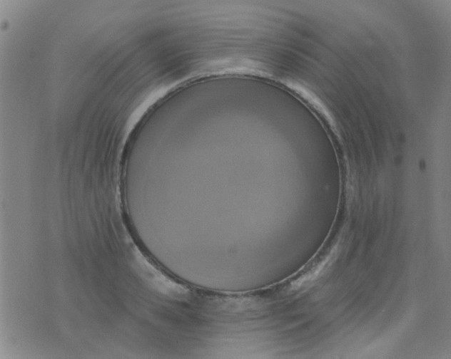 X0000076400941200610202126