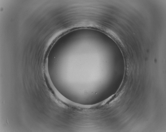 X0000076400942200610202126