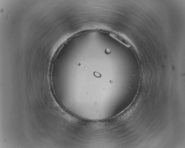 X0000076400943200610202126