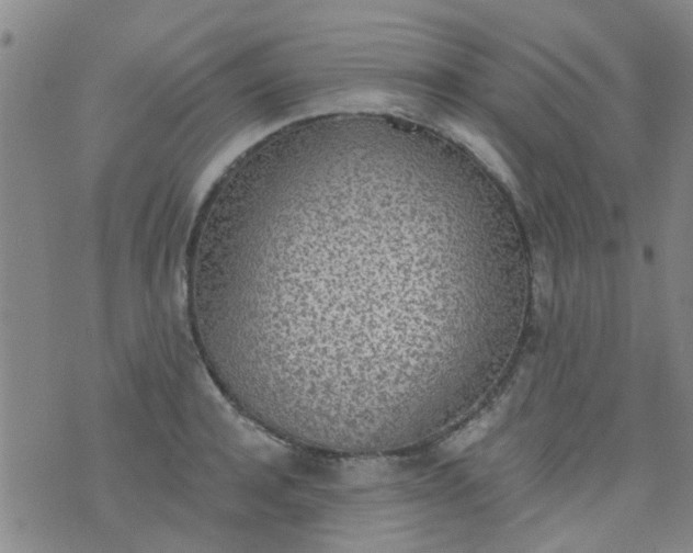 X0000076400944200610202126