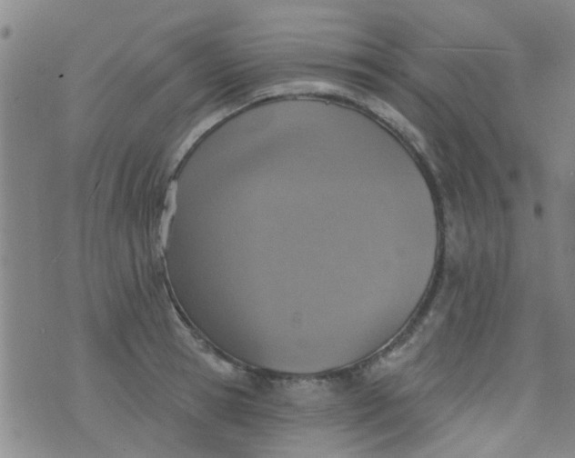 X0000076400945200610202126