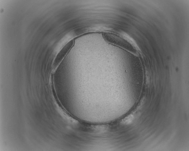 X0000076400946200610202126