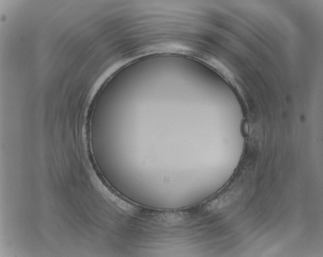 X0000076400947200610202126