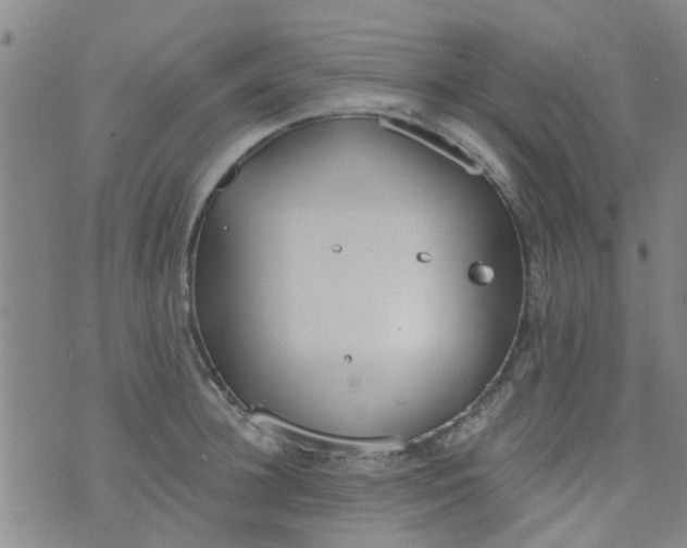 X0000076400948200610202126