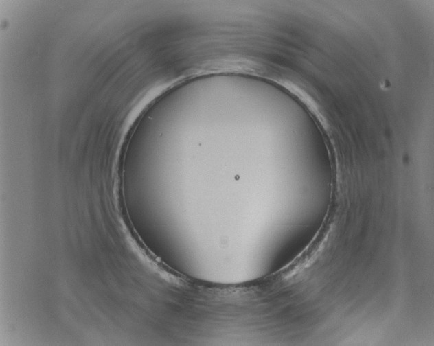 X0000076400949200610202126