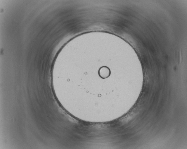 X0000076400950200610202127