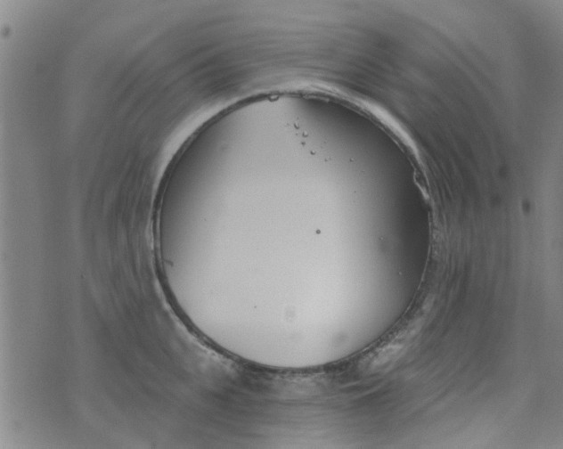 X0000076400951200610202127