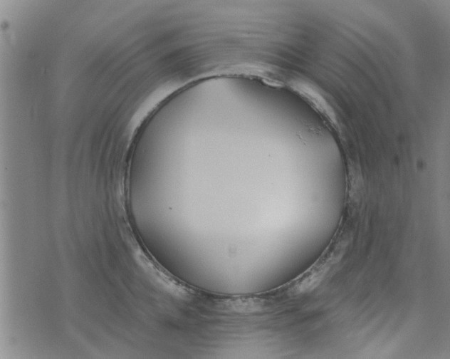 X0000076400952200610202127