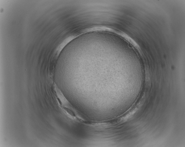 X0000076400953200610202127