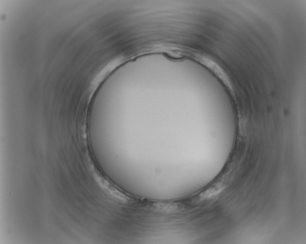 X0000076400954200610202127