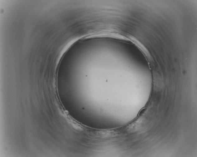 X0000076400956200610202127