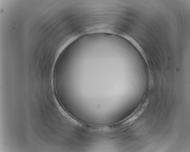 X0000076400957200610202127