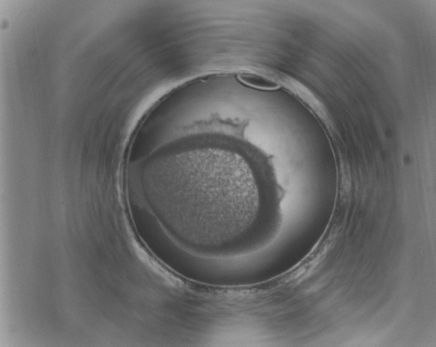 X0000076400958200610202127