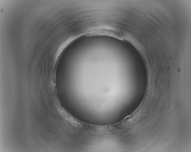 X0000076400960200610202127