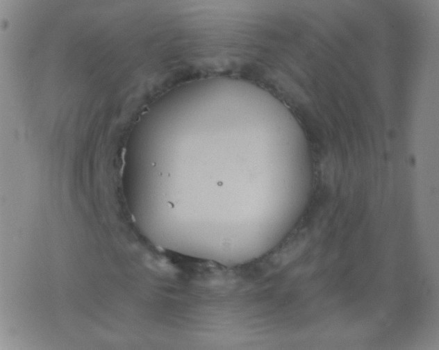 X0000076400961200610202126