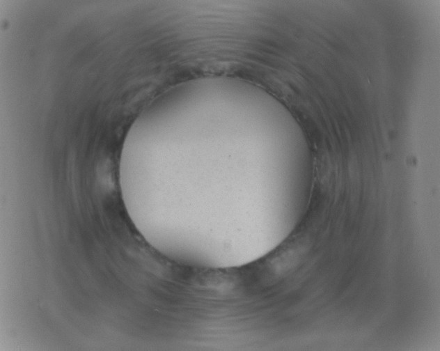 X0000076400962200610202126