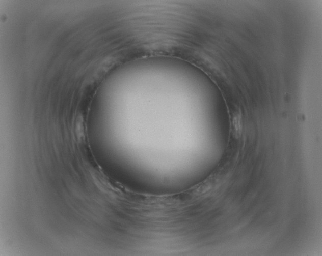 X0000076400963200610202126