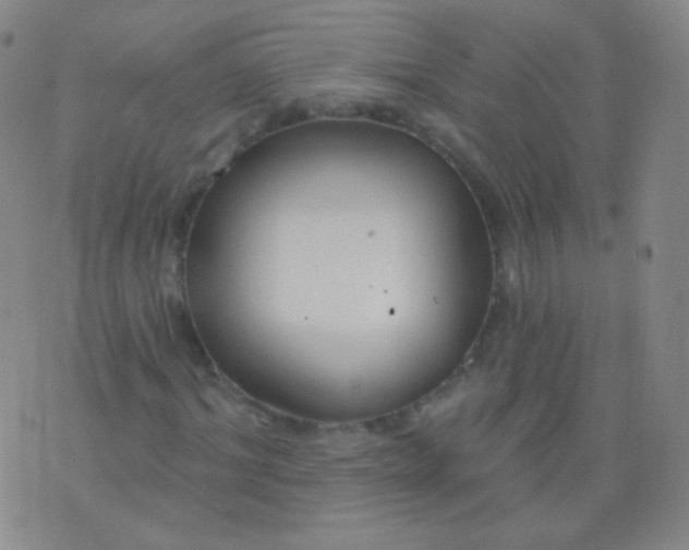 X0000076400964200610202126