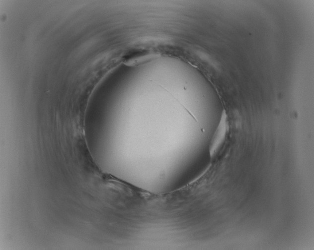 X0000076400965200610202126