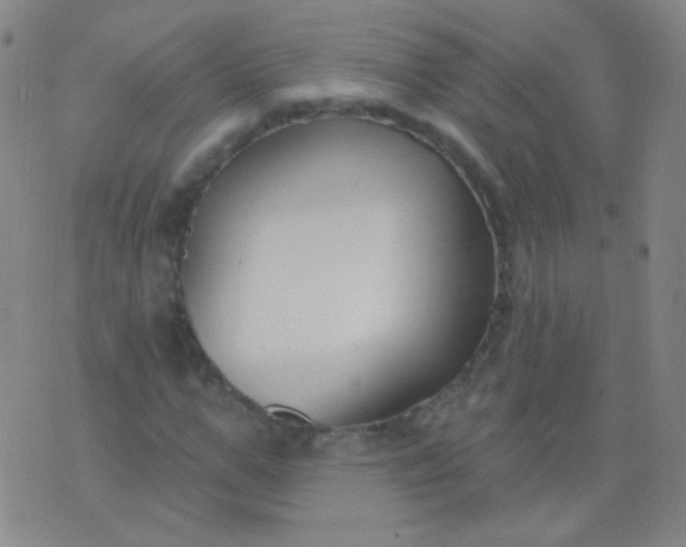 X0000076400967200610202126