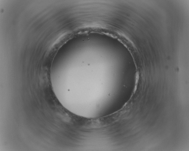 X0000076400968200610202126