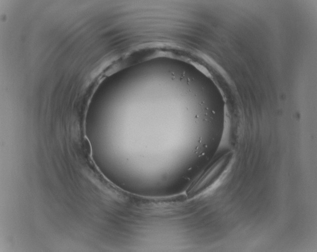 X0000076400969200610202126